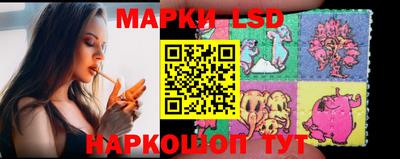 стафф Тара